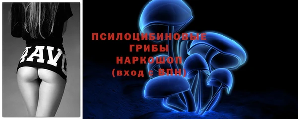 каннабис Ельня